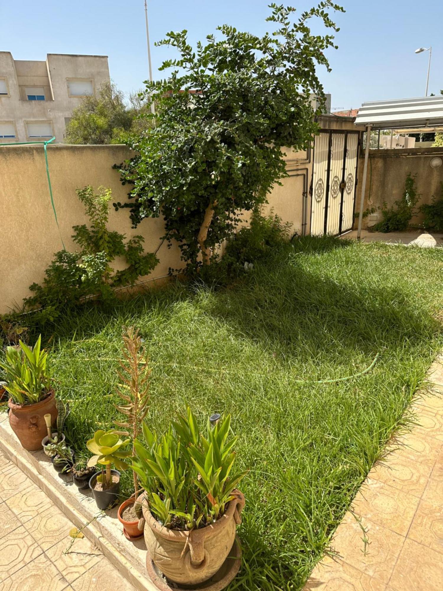 Apartamento Garden House Jardin De Carthage Sidi Daoud Exterior foto